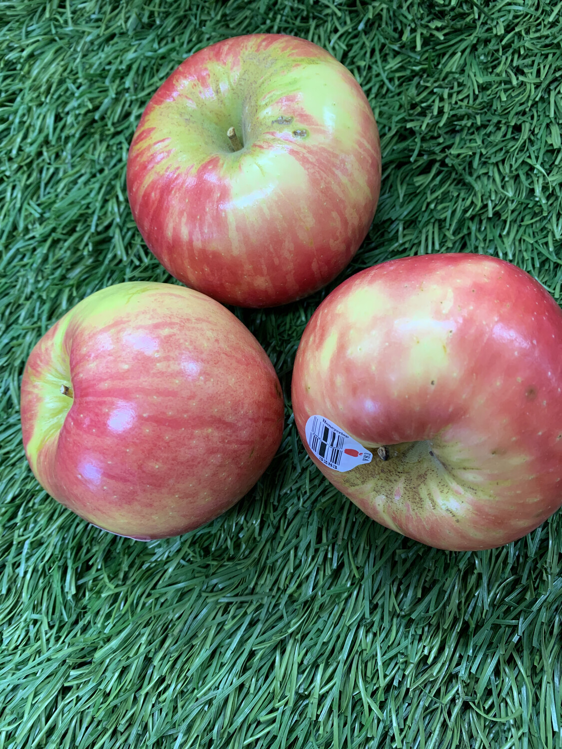 Apple-Honeycrisp Apple-Honeycrisp