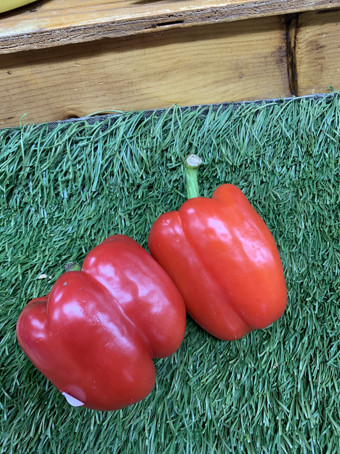 Pepper-Red Pepper-Red