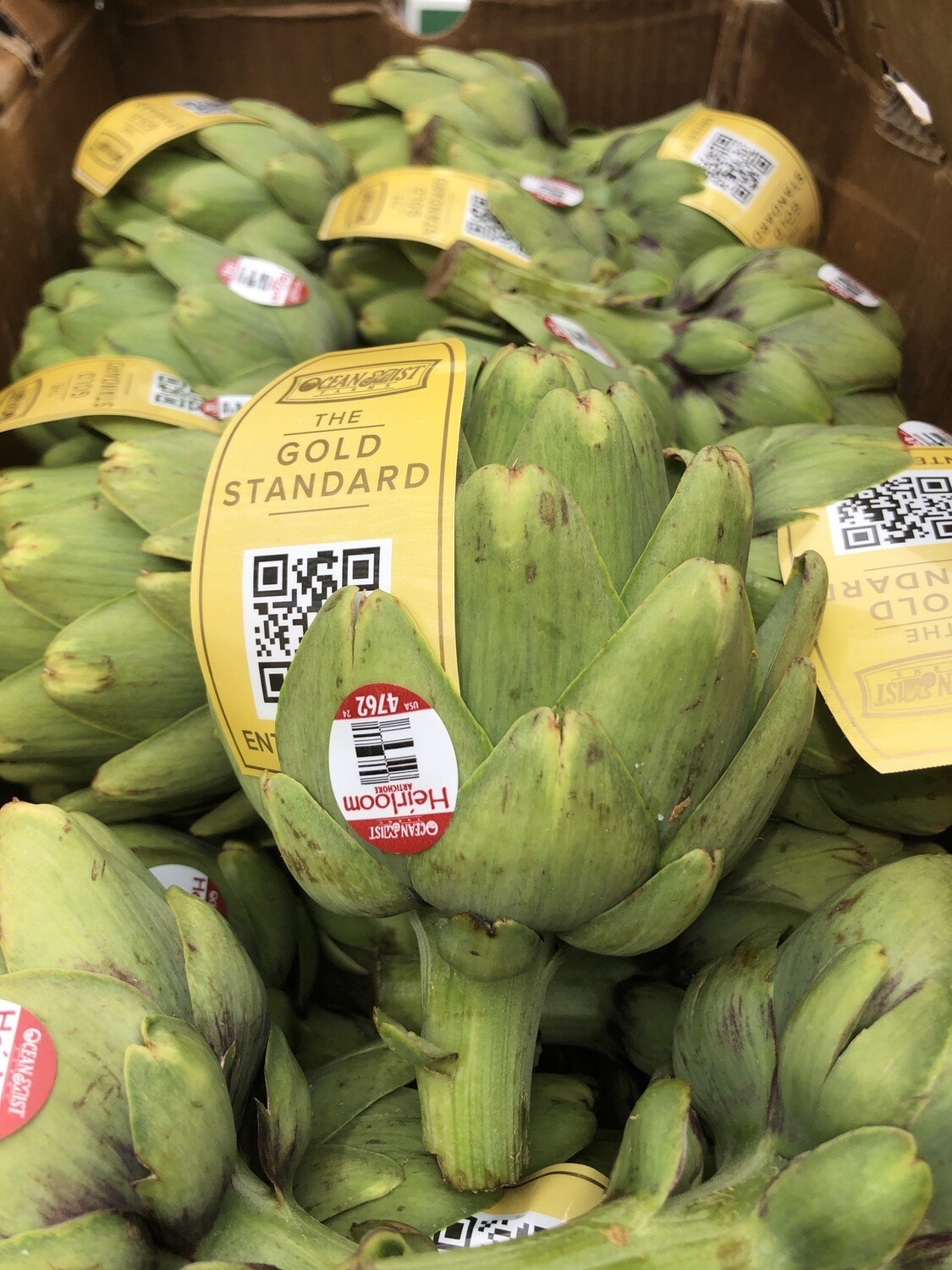 Artichoke Artichoke