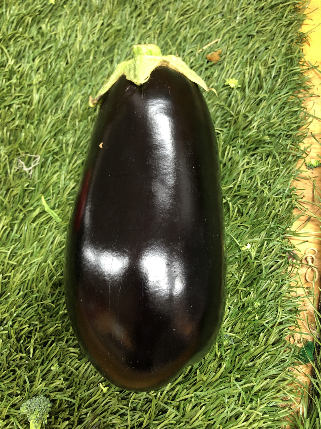 Eggplant - Md/Large Eggplant - Md/Large