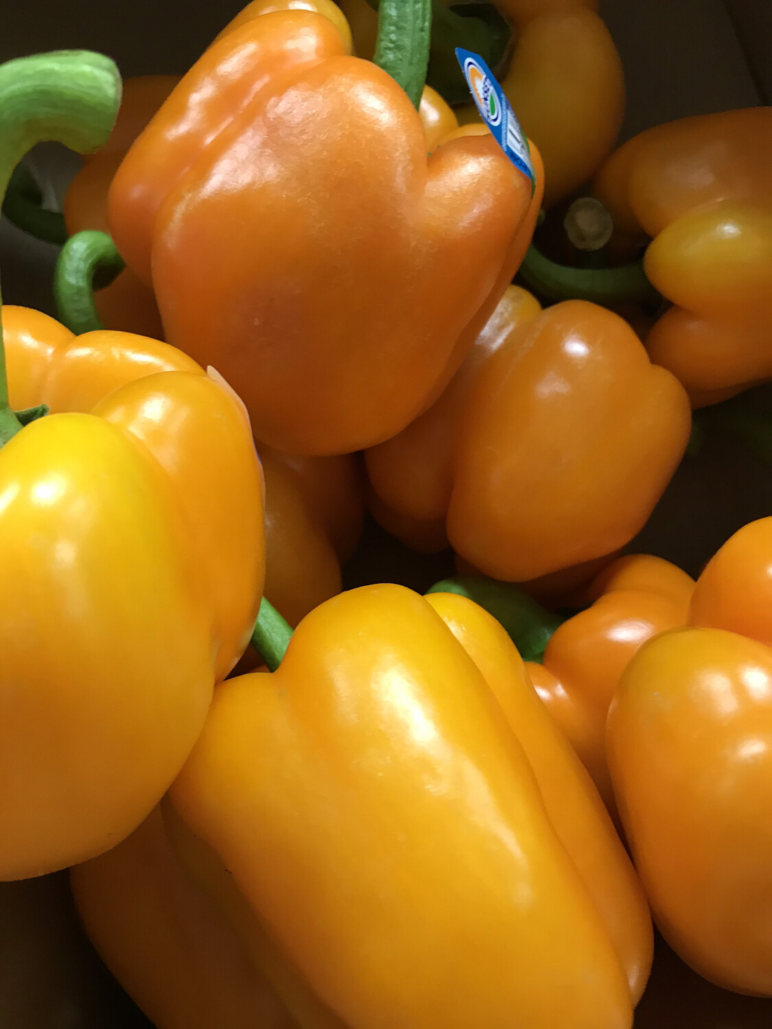 Peppers-Orange Peppers-Orange