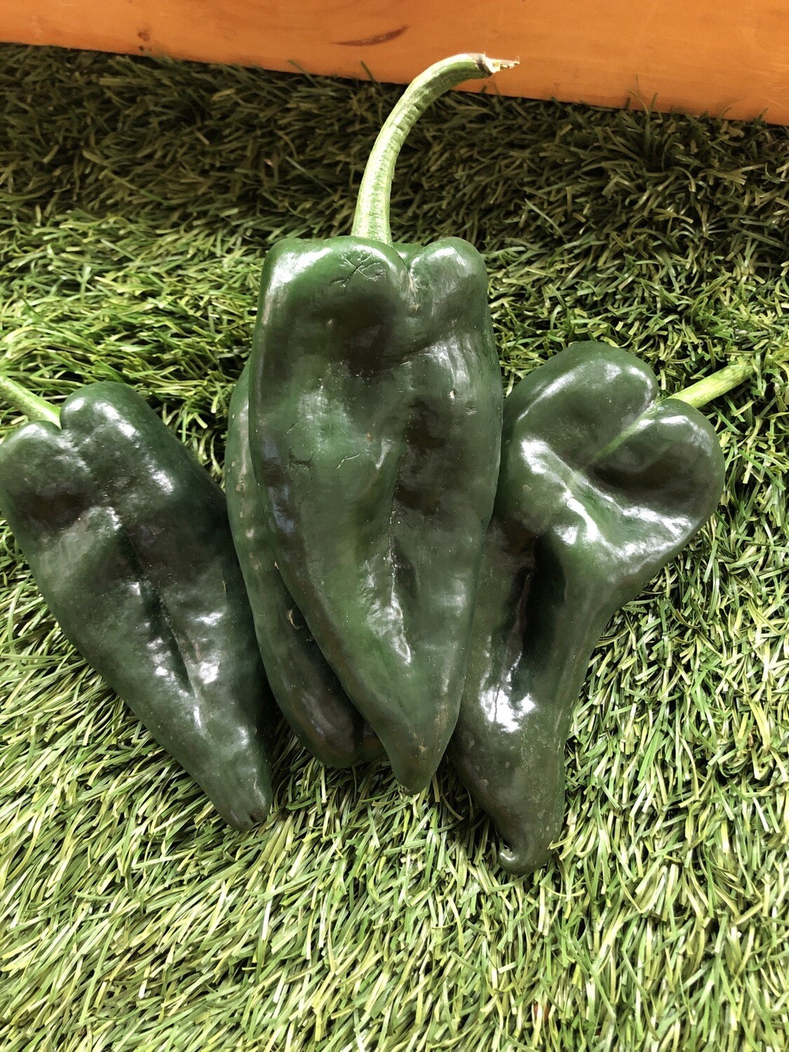 Peppers-Poblano Peppers-Poblano
