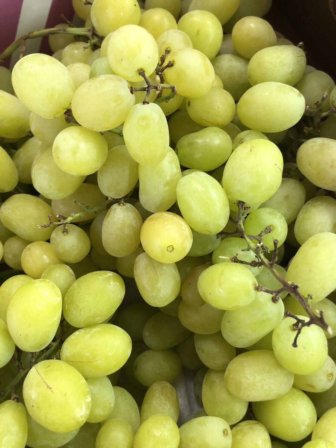 Grapes - Cotton Candy Grapes - Cotton Candy