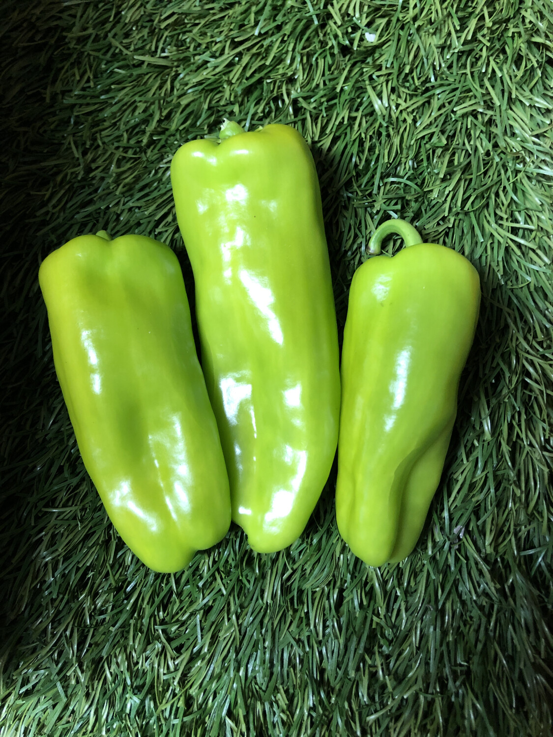 Peppers - Sweet Cubanelle (fryers), Bag Of 3 Peppers - Sweet Cubanelle (fryers), Bag Of 3