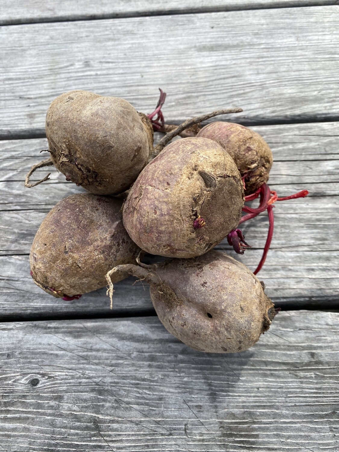 Beets | Red | 1lbs | Tangerini’s Own Beets | Red | 1lbs | Tangerini’s Own