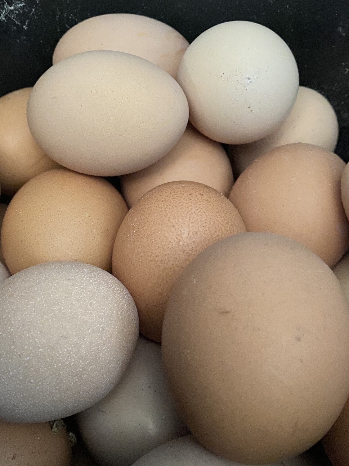 Eggs | Tangerini’s Own Eggs | Tangerini’s Own