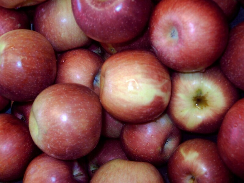 Empire | Apples | 1lb | Empire | Apples | 1lb |