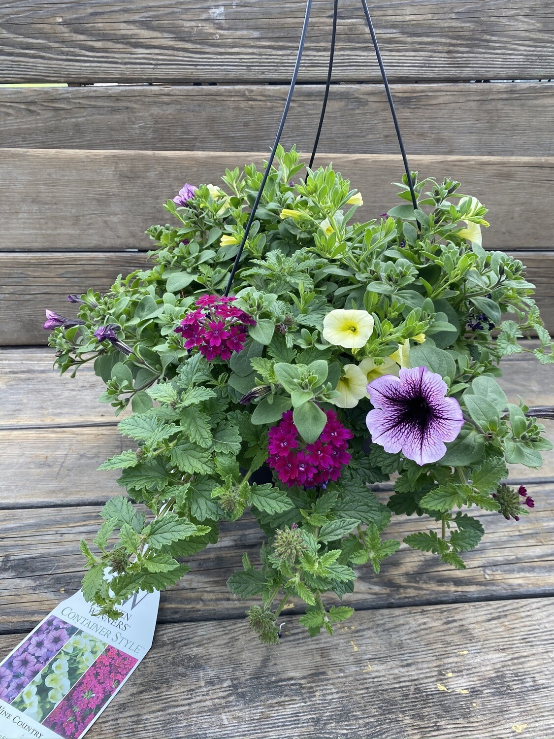 Hanging Basket | Wine Country | 10 Hanging Basket | Wine Country | 10