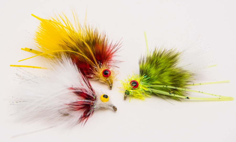 White, Yellow, Chartreuse White, Yellow, Chartreuse