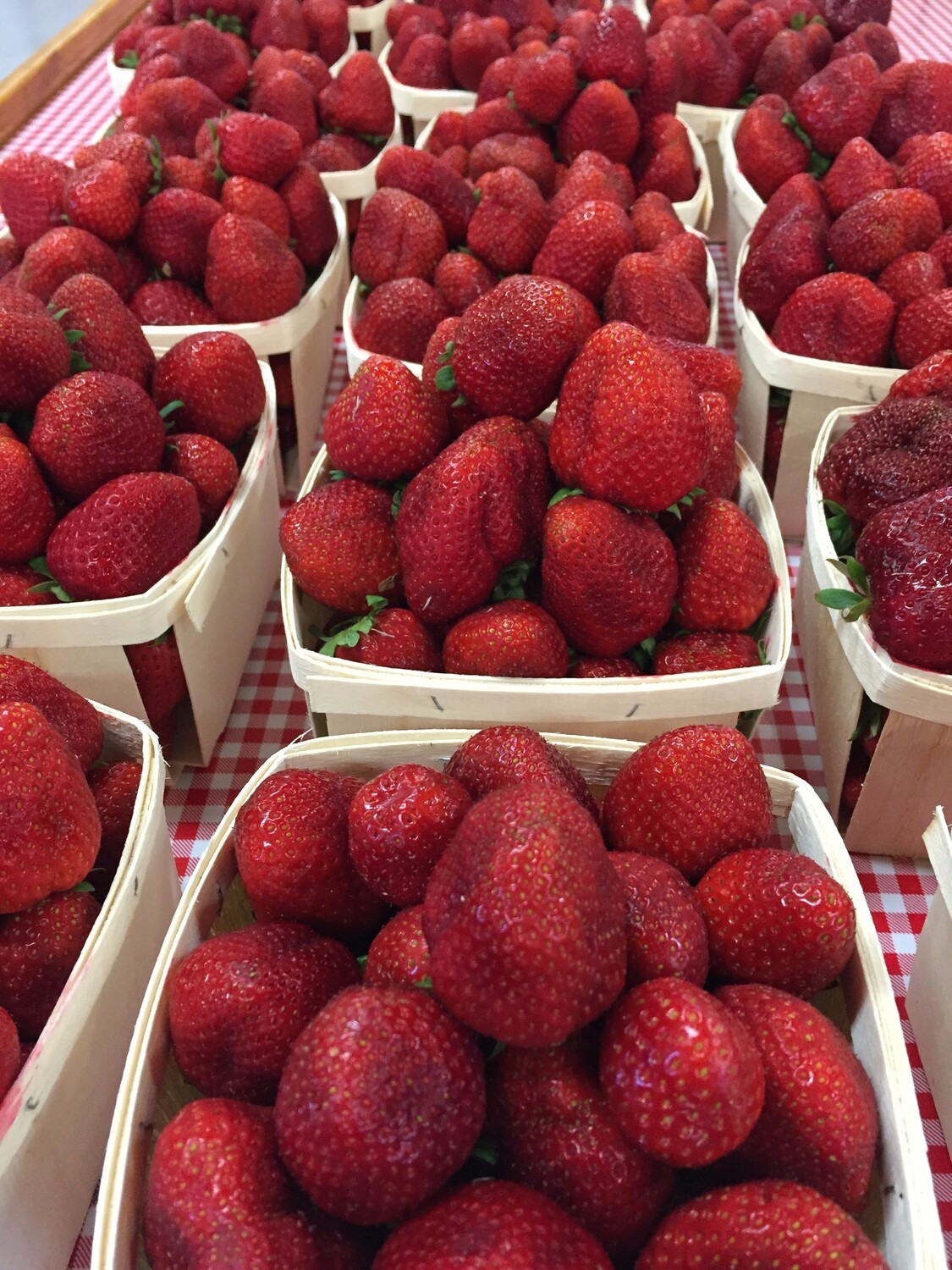 STRAWBERRIES sold by the quart Store