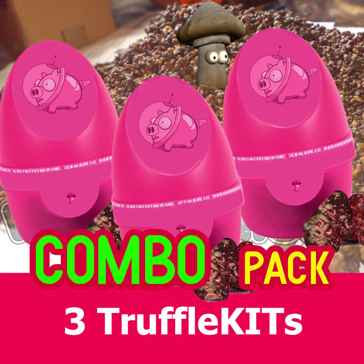 Κουτί της PANDORA - COMBO-Pack (3 κιβώτια) Κουτί της PANDORA - COMBO-Pack (3 κιβώτια)