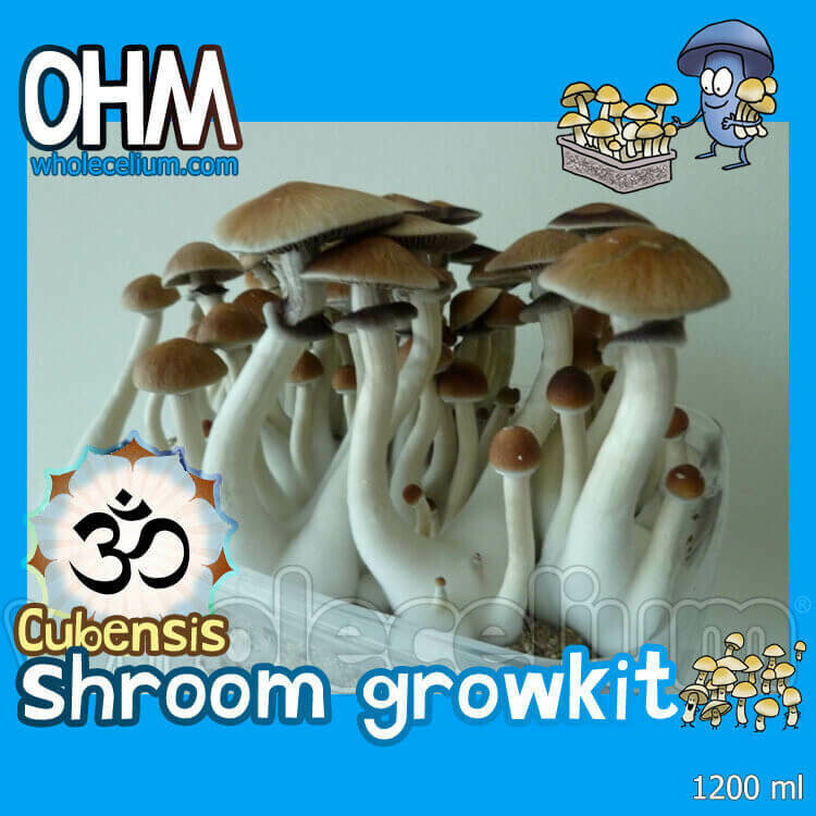 Συσκευασία Shrooma 'OHM' Συσκευασία Shrooma 'OHM'