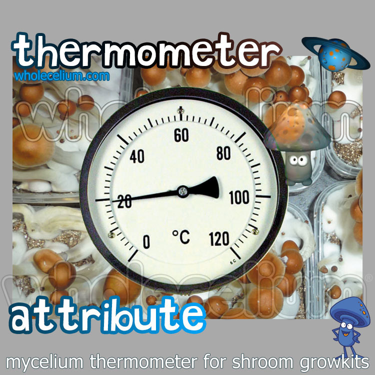 Mycelium Thermometer (for shroomkits) Mycelium Thermometer (for shroomkits)