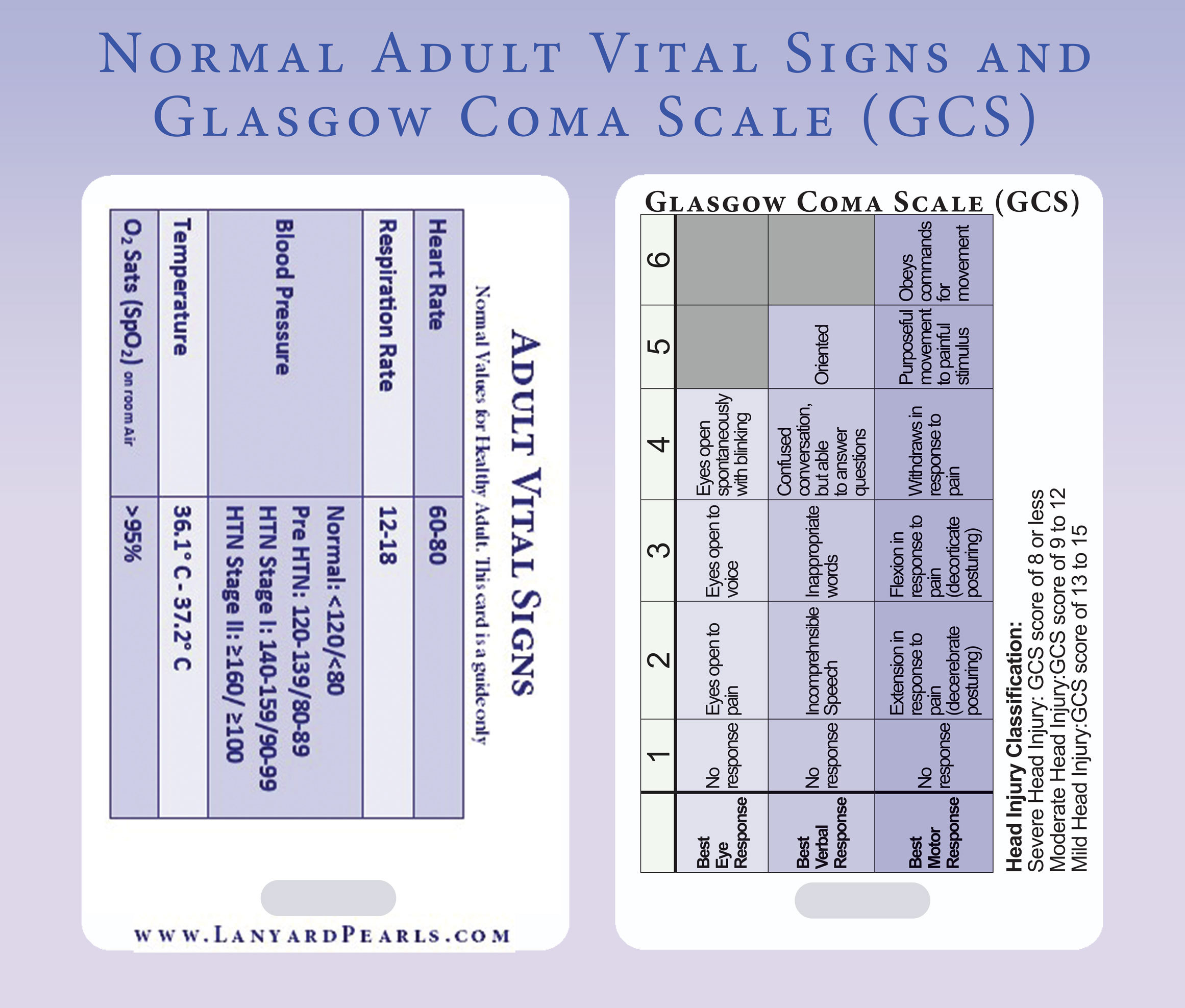 Vital Signs Adults 96