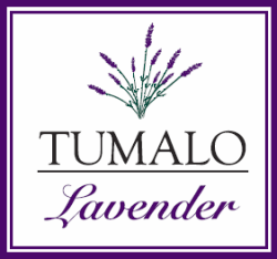 Tumalo Lavender