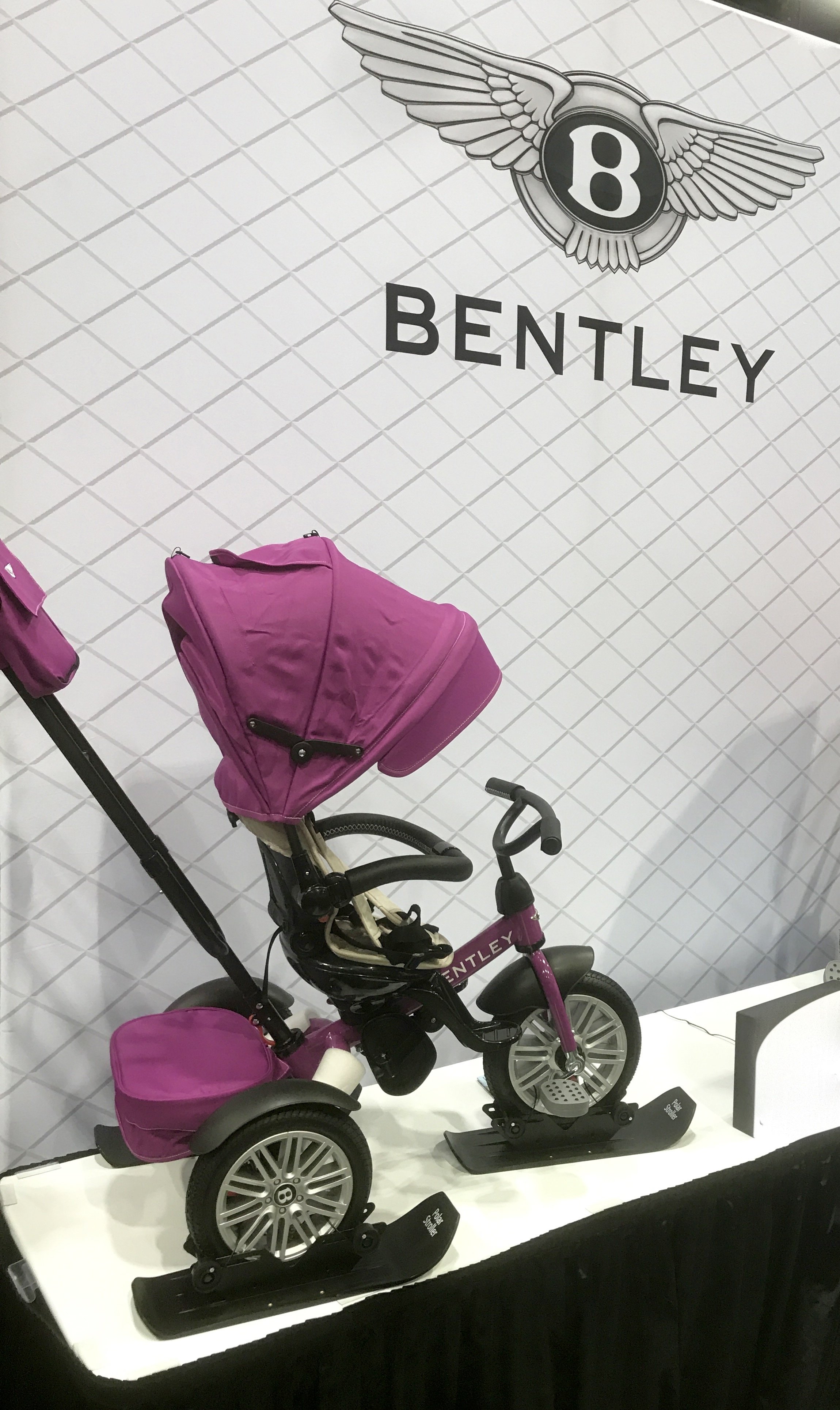 4X4 Polar Stroller Ski Set