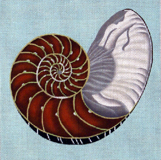 Cut Nautilus A71-909B