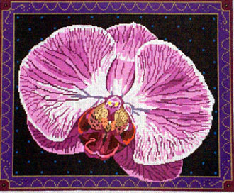 Singapore Orchid (Barbara Russell) *BR167