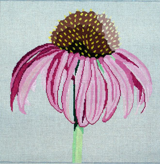 Regal Cornflower A52-15N