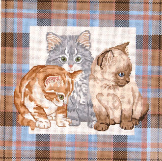 Kittens on Plaid B12-G886
