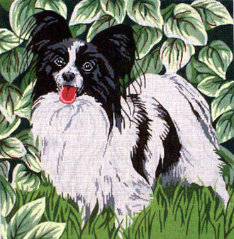Papillion (Barbara Russell) *BR150