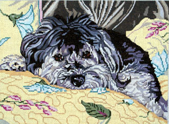 Wellington the Havanese (Barbara Russell) *BR428