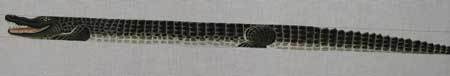 Alligator Belt (Handpainted from Tapestry Tent Design) Alligator Belt (Handpainted from Tapestry Tent Design)