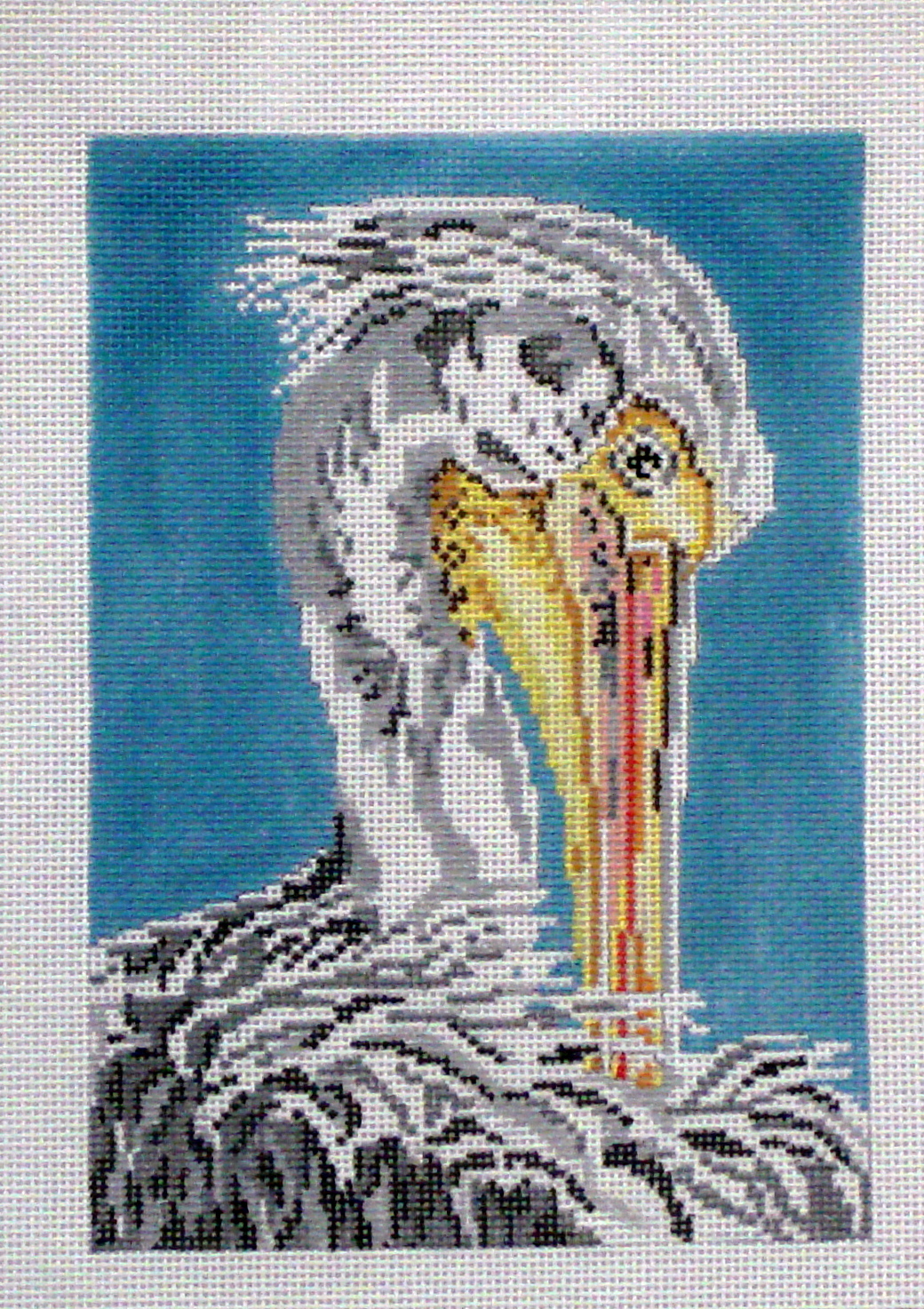 White Pelican A74-9261