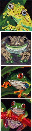 Coasters, Frog, Set of 4 (Barbara Russell) *BR161