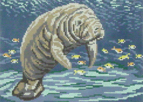 Manatee at Sea (Needle Crossing) *1105