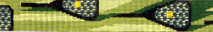LaCrosse Belt B16-B703