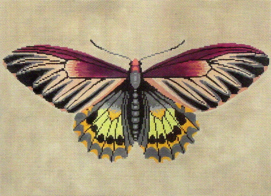Moth (Magenta, Green, Yellow) Elizabeth Turner Collection) C512A