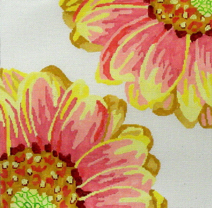 Sunset Daisy (Jean Smith) 82E