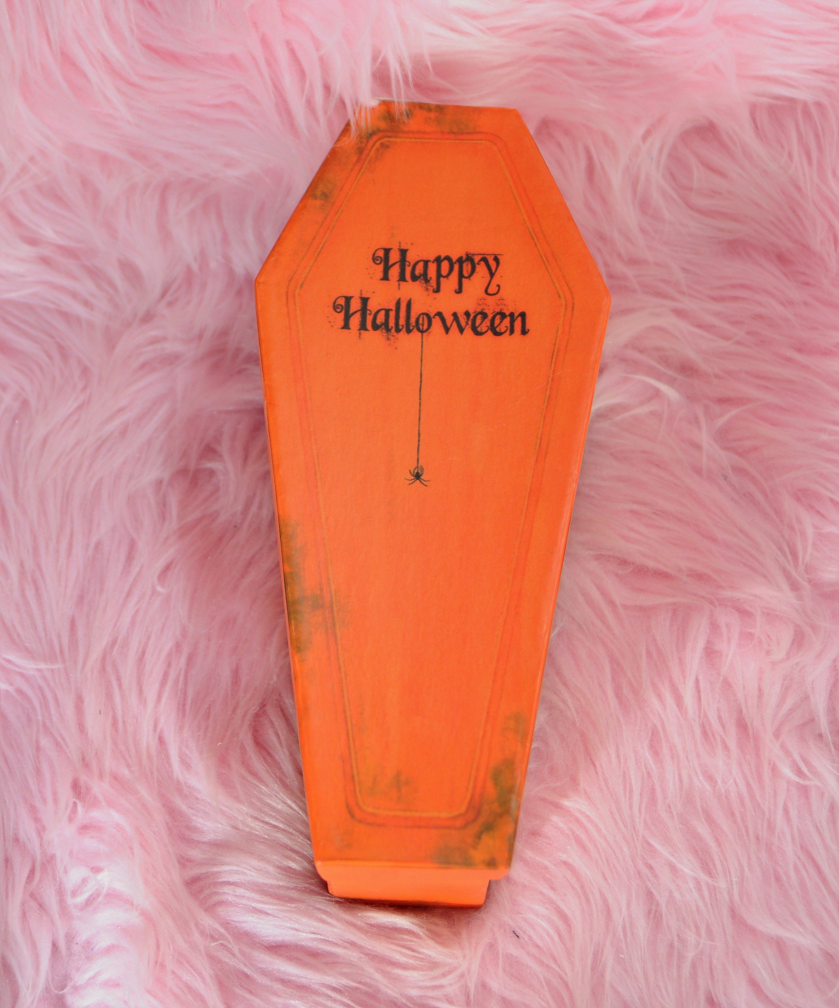 Anias Poison Halloween Gift set 3 pairs of Satin shiny panties in coffin box!