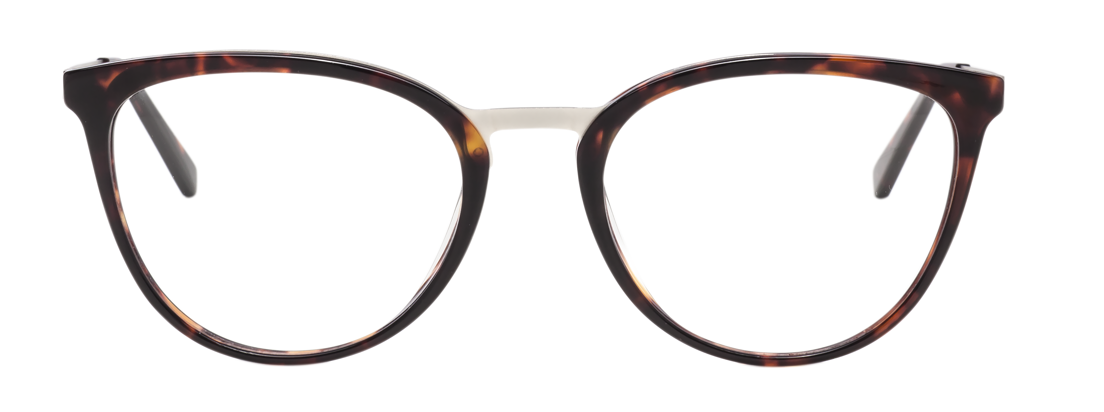 Frida Tortoise/Mat Silver 00284