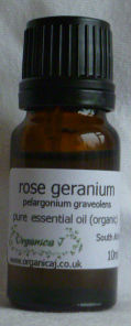 Rose Geranium (pelargonium graveolens) Rose Geranium (pelargonium graveolens)