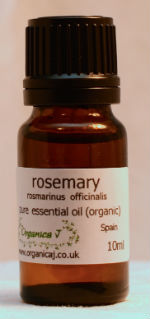 Rosemary (rosmarinus officinalis) Rosemary (rosmarinus officinalis)