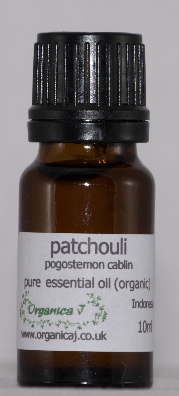 Patchouli (pogostemon cablin) Patchouli (pogostemon cablin)