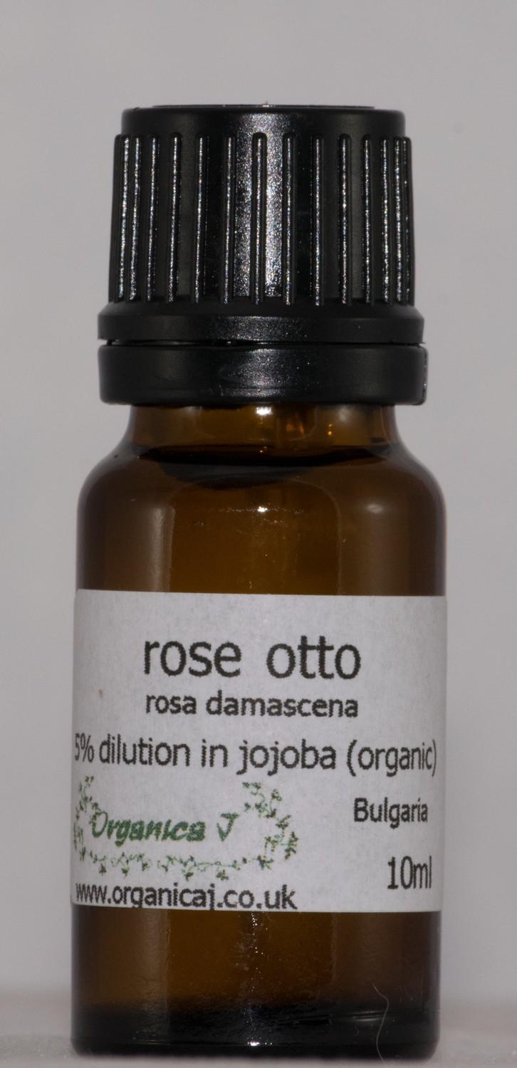 Rose Otto (rosa damascena) Rose Otto (rosa damascena)