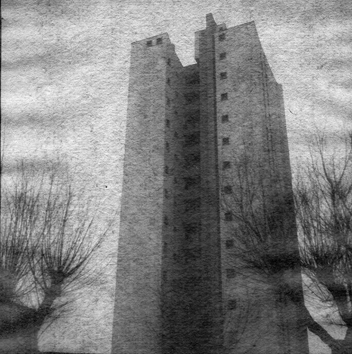Washi Film "W" 25 120