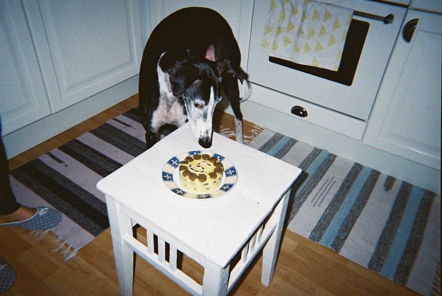 Lomography Simple Use Film Camera Color Negative 400