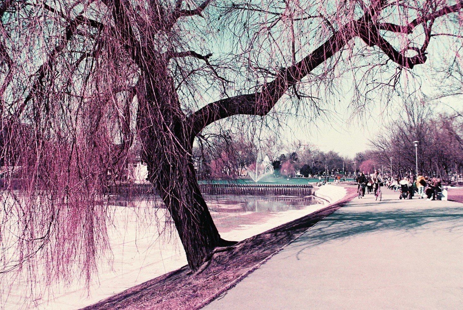 Lomography LomoChrome Purple XR 100-400 35mm NEW!