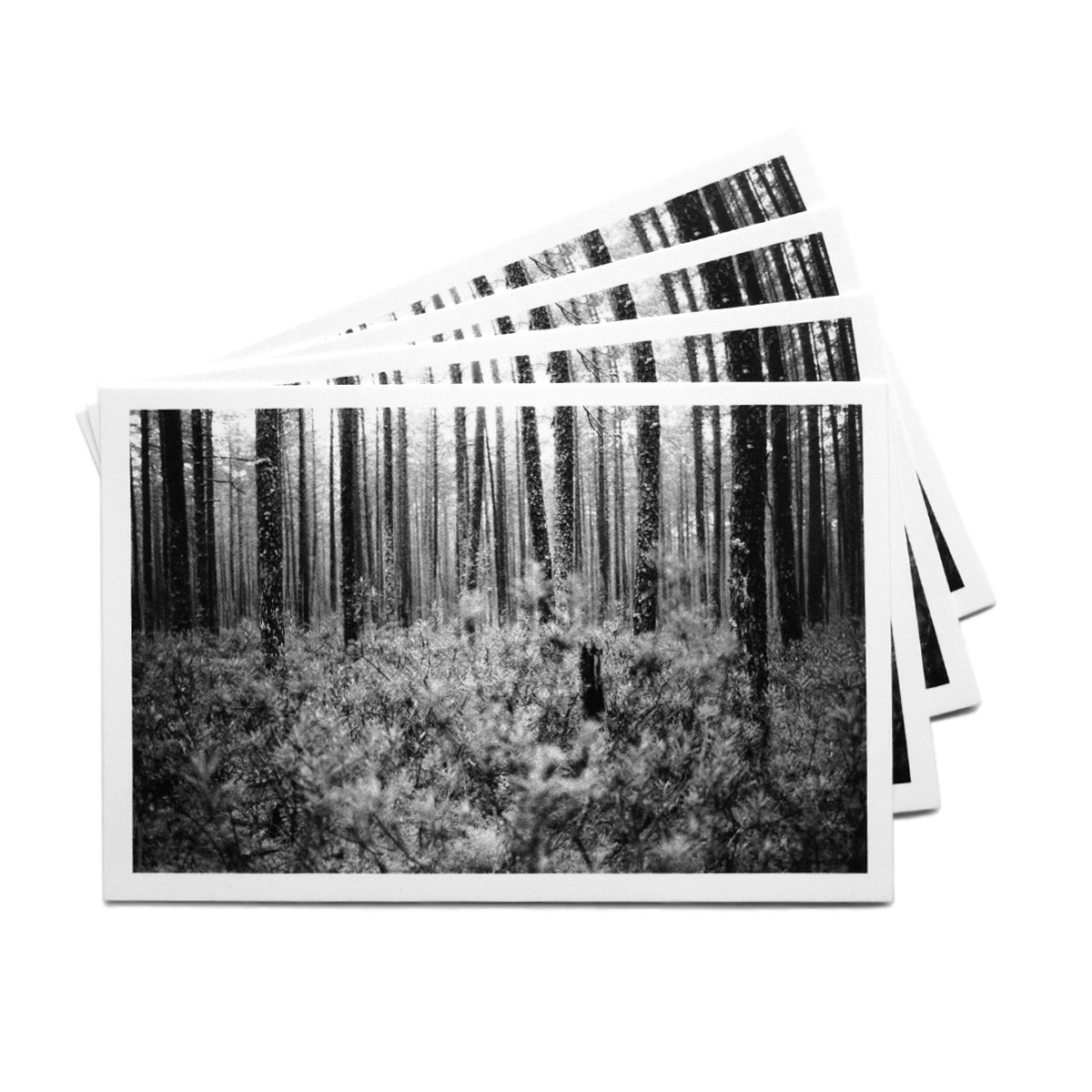 Открытка 'For.rest' 00675