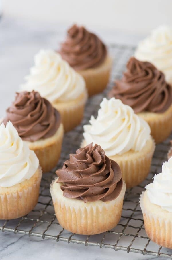 Dozen Cupcakes Dozen Cupcakes