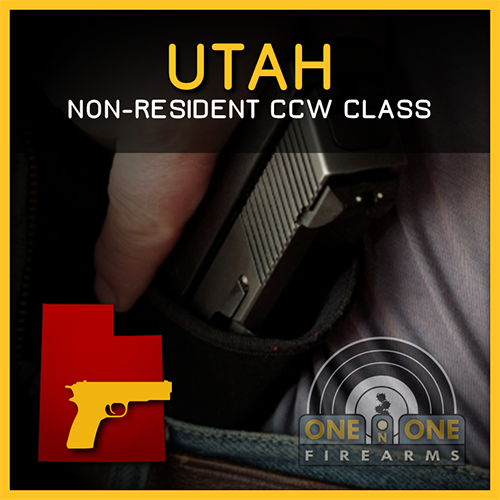 MULTI-STATE CONCEALED FIREARM PERMIT, April 30th, 2018 00478