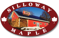 Silloway Maple