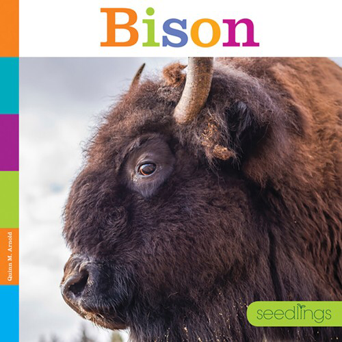 Bison Bison