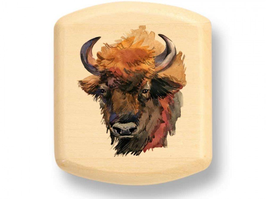 Bison Head Color Art Secret Box Bison Head Color Art Secret Box