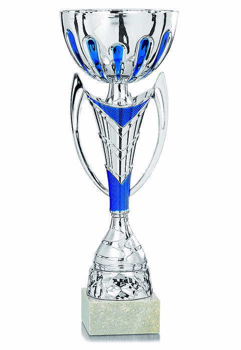 Cup448 2821