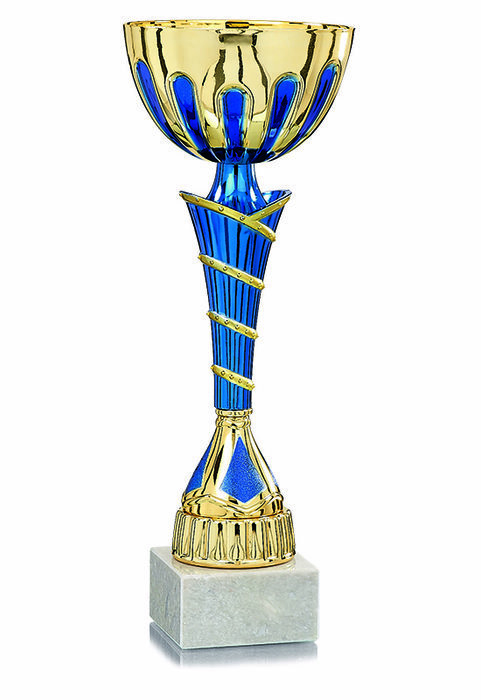 Cup449 3141